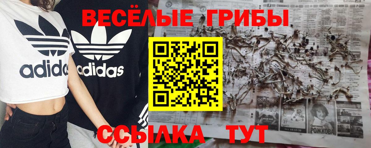 Галлюциногенные грибы мицелий Кировск
