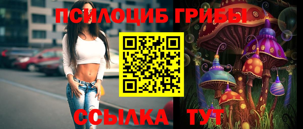 Галлюциногенные грибы мицелий  Вход с VPN  Кировск 